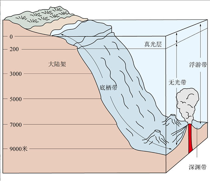 海洋真光层