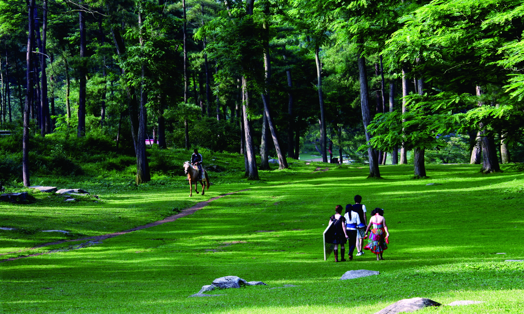 长坡岭森林公园