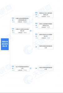 内蒙古贵龙实业有限公司